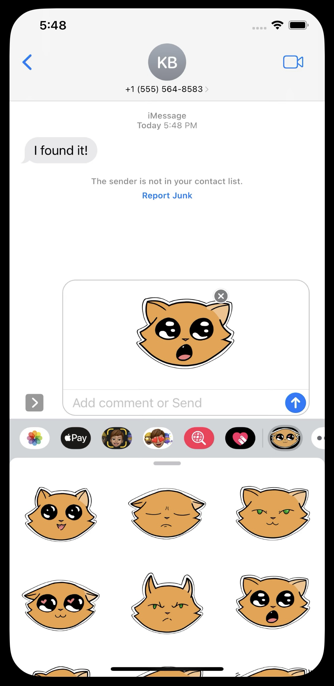 sandy the cat applestore screencap